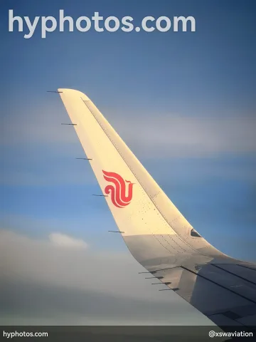 金凤凰